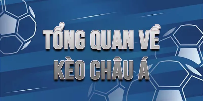 Kèo châu Á sky88 được đông đảo người chơi cá cược bóng đá lựa chọn