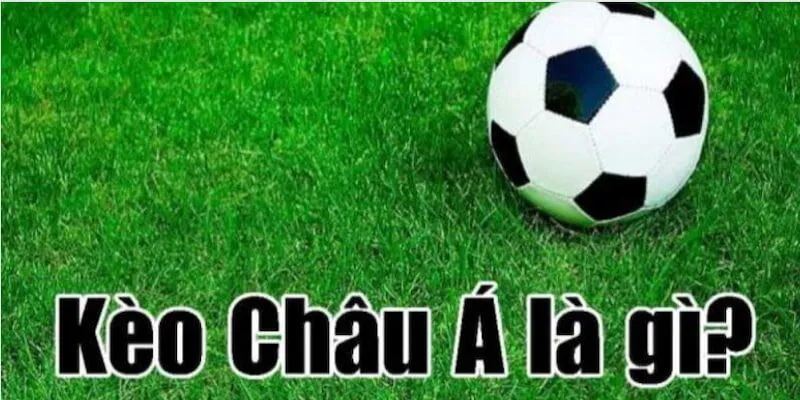 Có nhiều tỷ lệ chấp khác nhau phản ánh độ chênh lệch giữa hai đội
