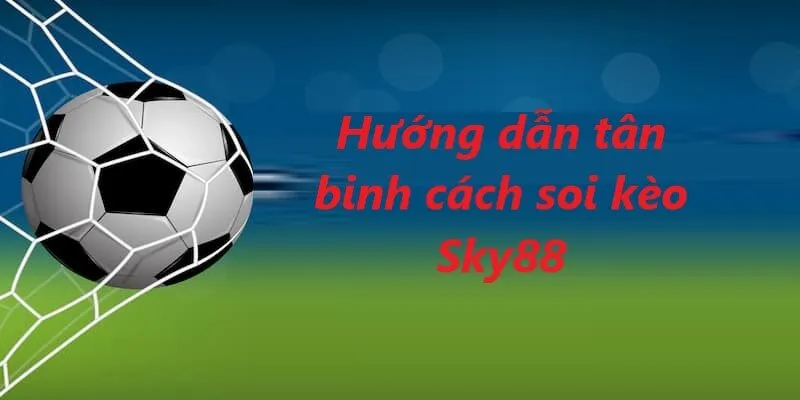Các bước để soi kèo cược rất đơn giản và hiệu quả cao